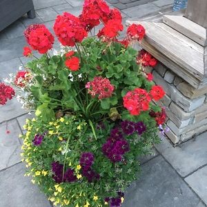 Meet your Posher, Ana